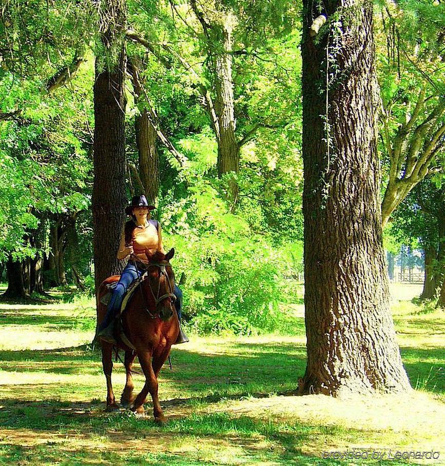 Estancia Monte Viejo Brandsen Kültér fotó
